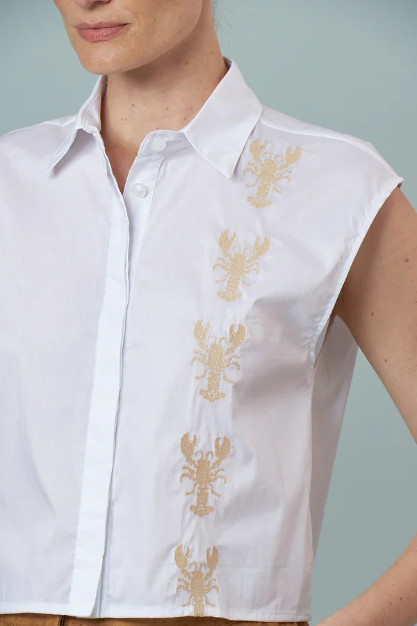 CAMISA DENDA