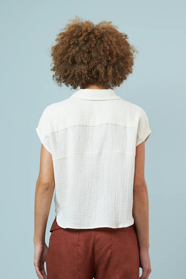 CAMISA DODO