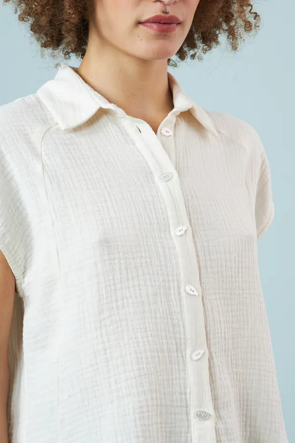 CAMISA DODO