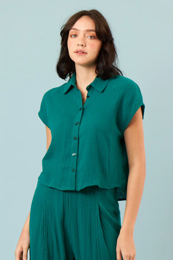 CAMISA DODO
