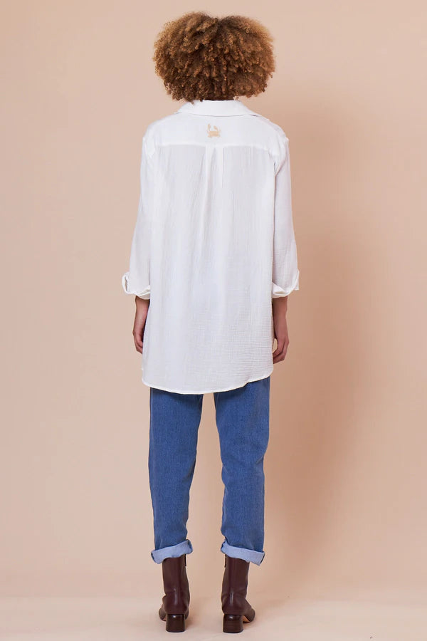 CAMISÃO DALVINA
