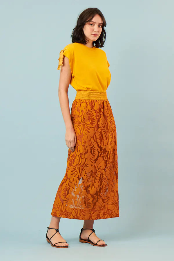 SAIA FONTES AMARELO